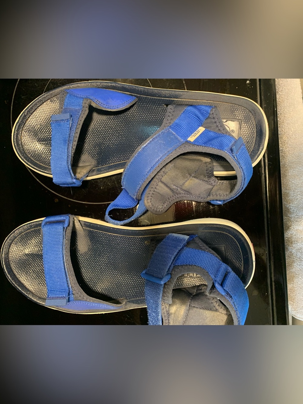 Vans Sandals